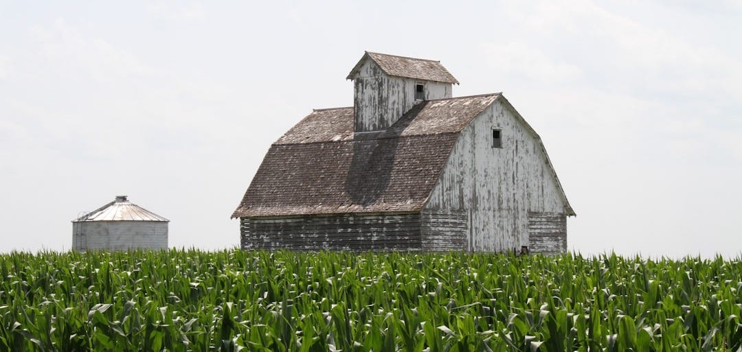brown barn house brown barn house