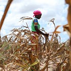 Technophobia has a body count