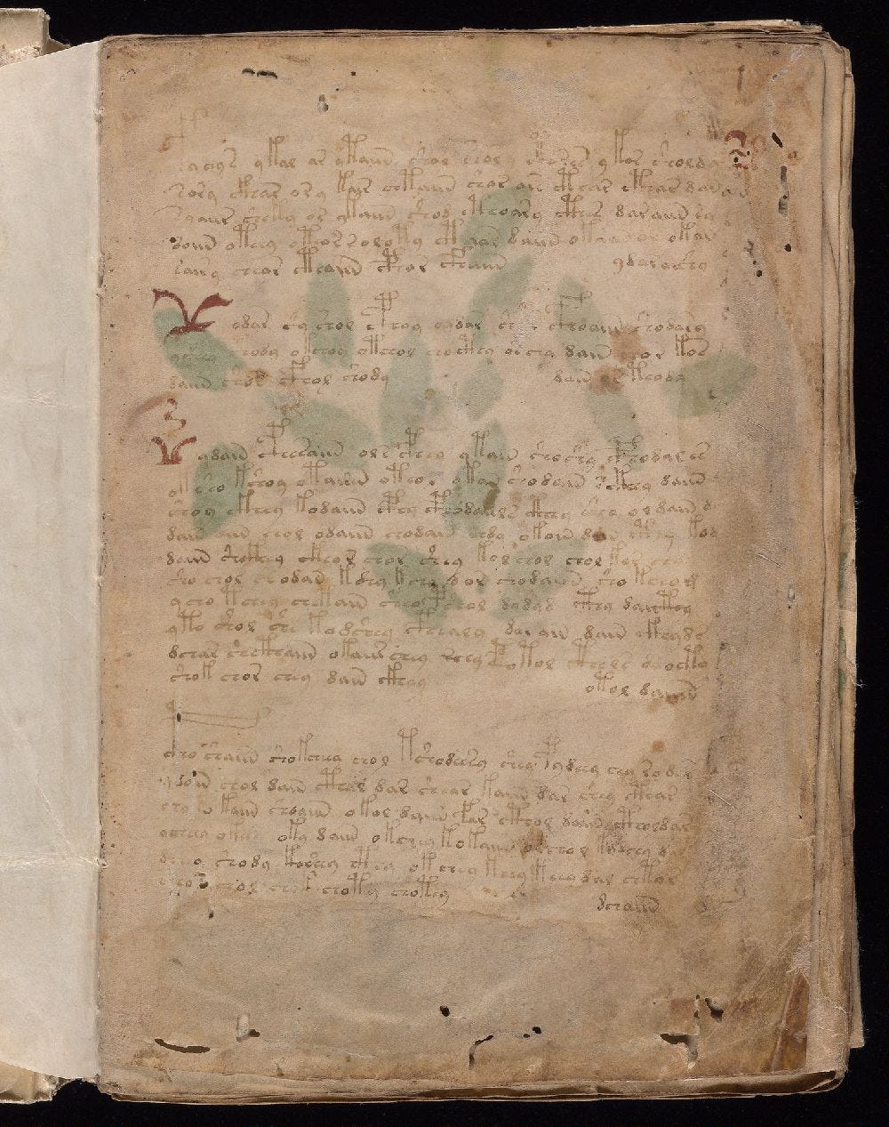 Manuscrito Voynich, f. 1r Manuscrito Voynich, f. 1r
