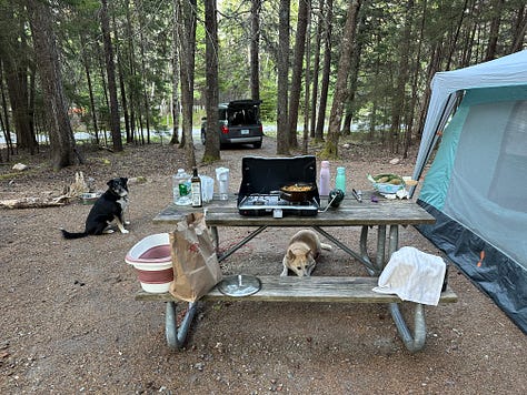 Photos of the campground, ocean, hiking, and dogs