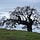 California Ridgelines