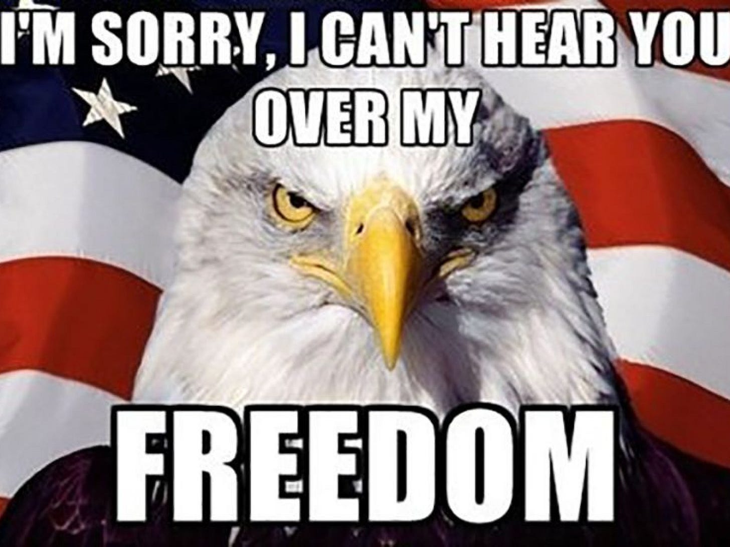4th Of July Memes: Best Independence Day Memes To Celebrate ...