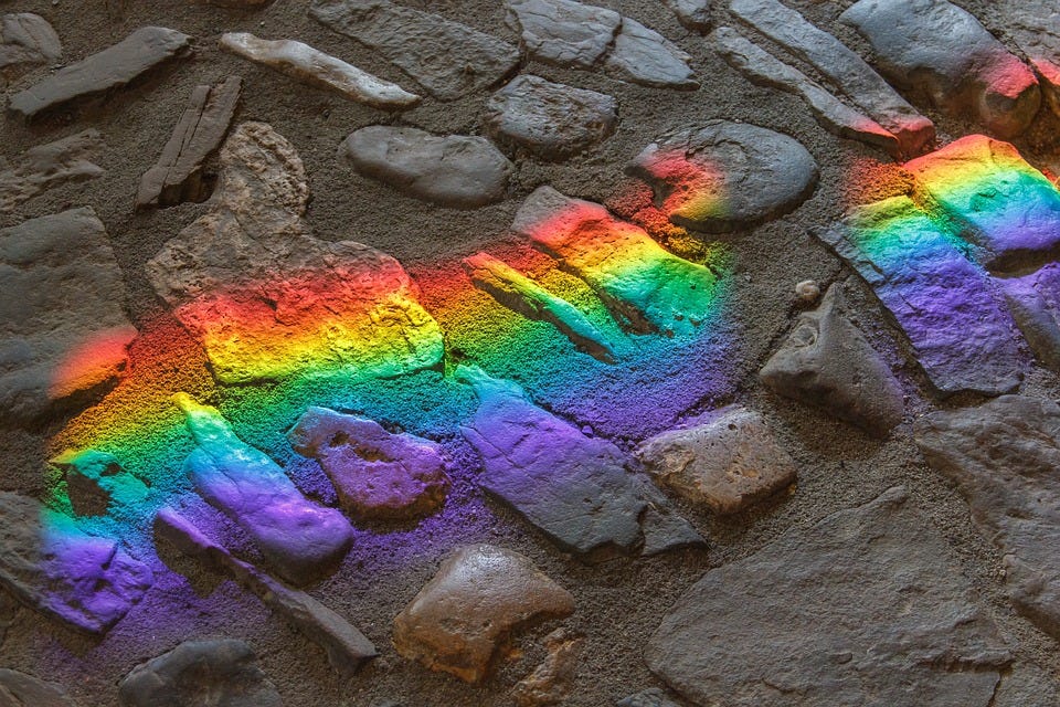 nr. 8, 2023: Homohatet og kanarifuglen