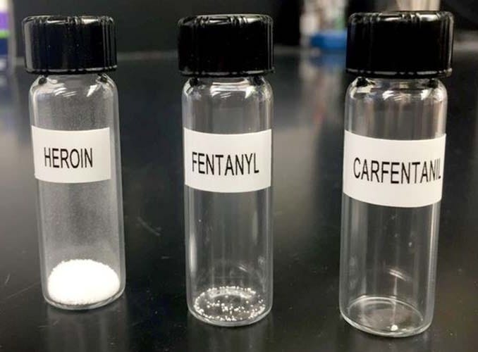Experimental vaccine blunts the deadliest of synthetic opioids | Scripps  Research