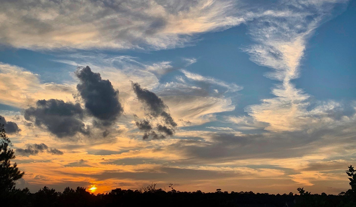 a sunset with bright blue skies, swirling clouds in chades of white and grey with the sun hanging barely above the trees in the lower left side