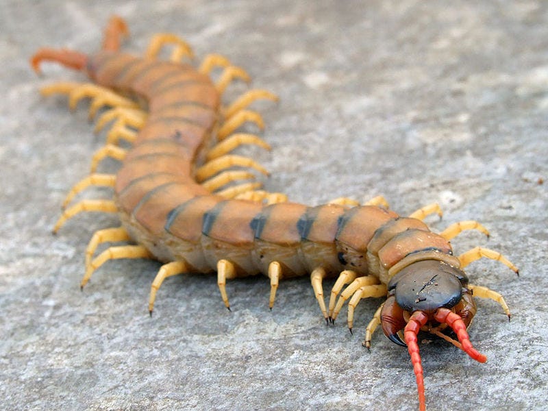 Eran Finkle עברית:  ערן פינקל, CC BY-SA 3.0 <https://creativecommons.org/licenses/by-sa/3.0>, via Wikimedia Commons