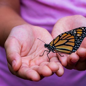 Finding Peace and Natural Healing with Functional Medicine