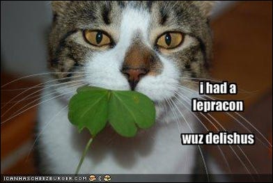 pattys