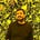 Bhuvnesh Arya's avatar