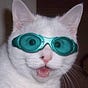 Anna McMartin's avatar
