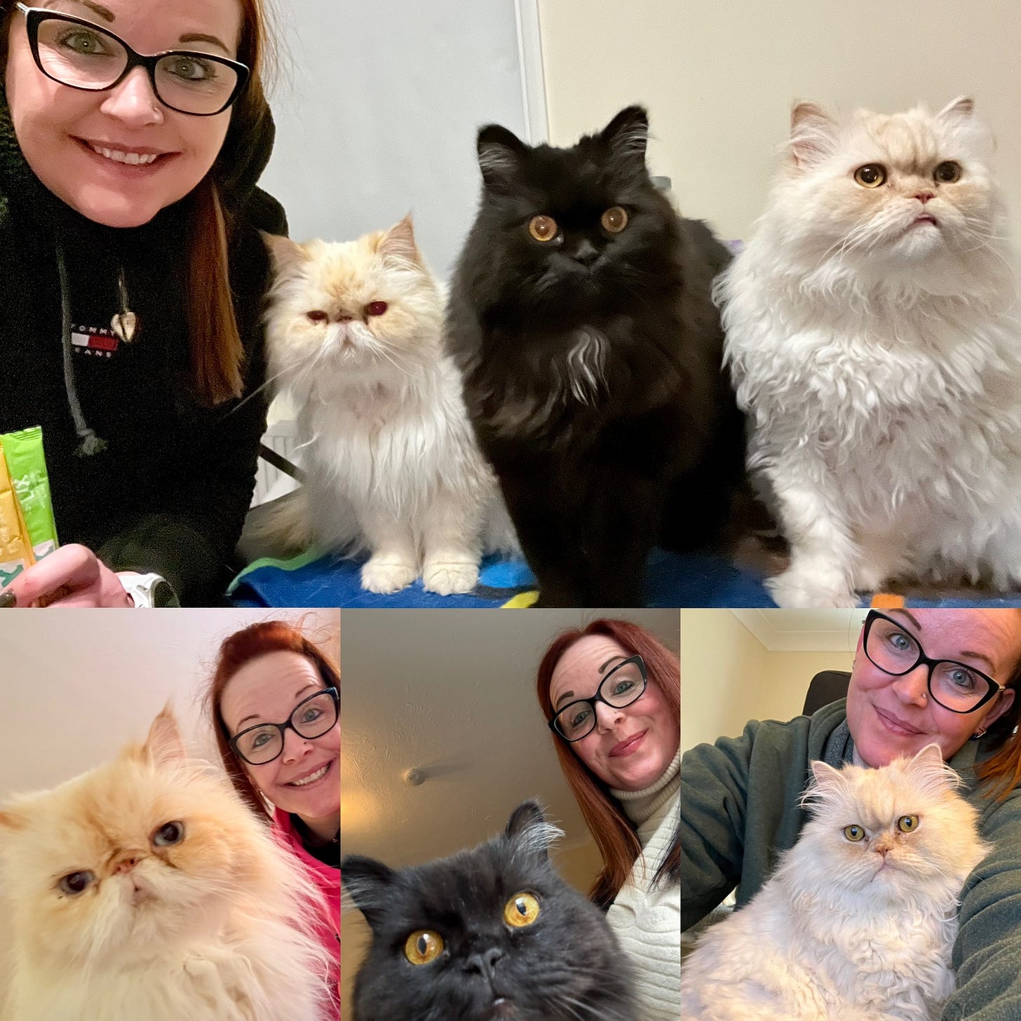 A photo collage showing Georgina Dean, the founder of 'Creatively Wondering,' with her three fluffy Persian cats, who serve as the publication's mascots. A photo collage showing Georgina Dean, the founder of 'Creatively Wondering,' with her three fluffy Persian cats, who serve as the publication's mascots.