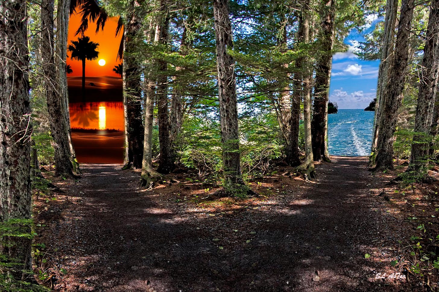 A forest scene with a path dividing to two different directions. On the left is a desert oasis. On the right an ocean.