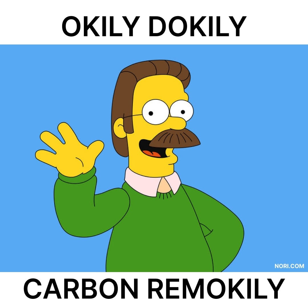 Ned Flanders from The Simpsons waving, with the text "Okily dokily" above and "Carbon remokily" below.