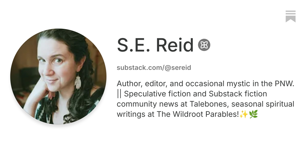 S.E. Reid | Substack