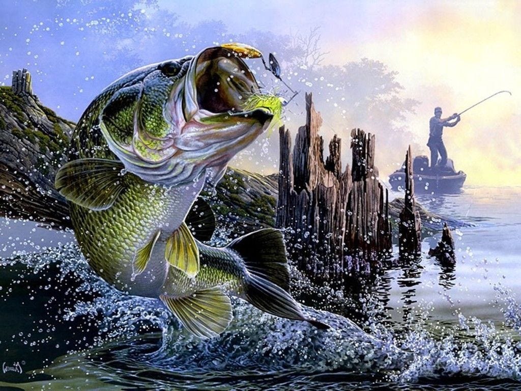 A painting of a fisherman hooking a bass as it leaps out of the water A painting of a fisherman hooking a bass as it leaps out of the water