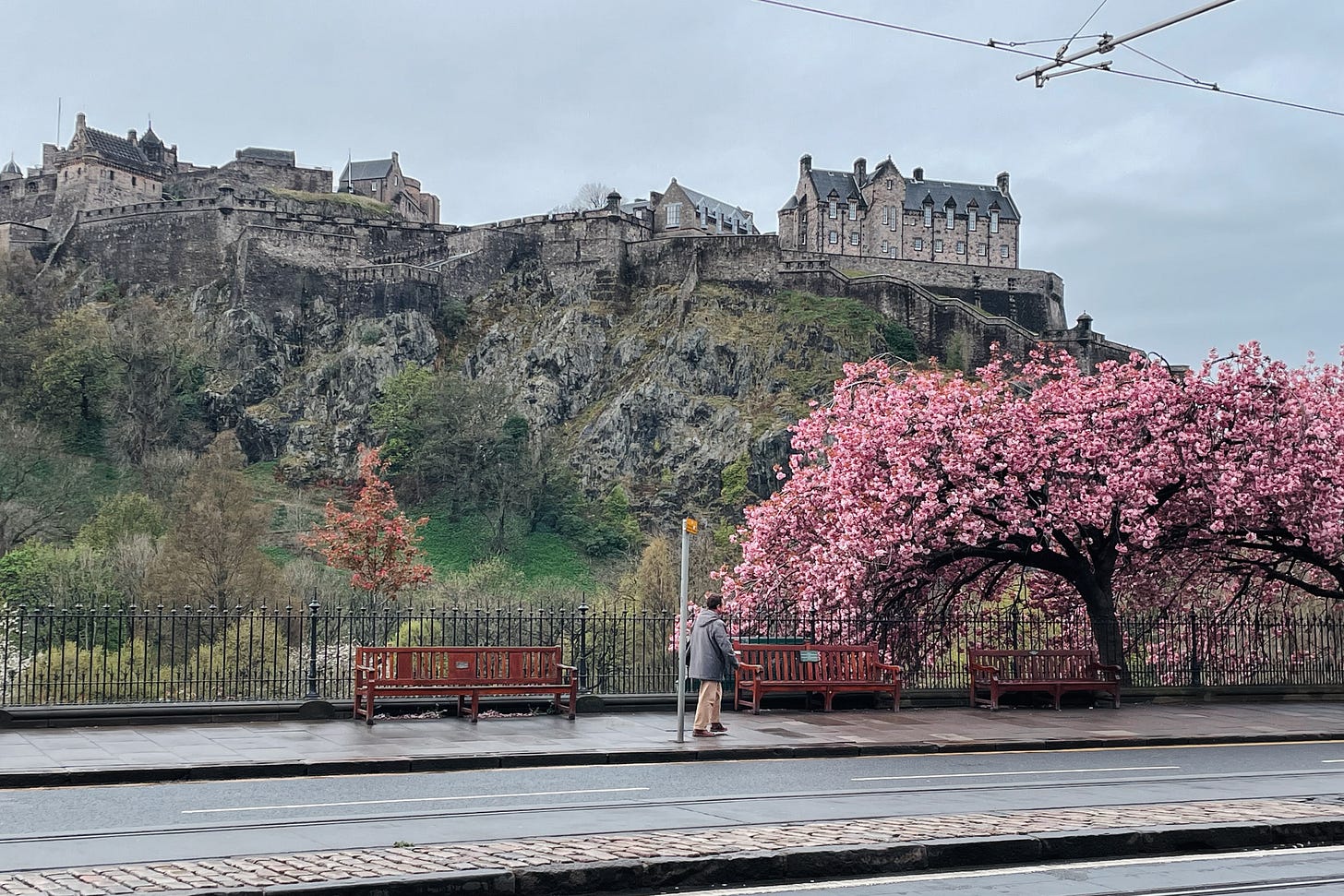 Princes Street after rain, with cherry blossoms in bloom and Edinburgh Castle looming under a grey sky.
