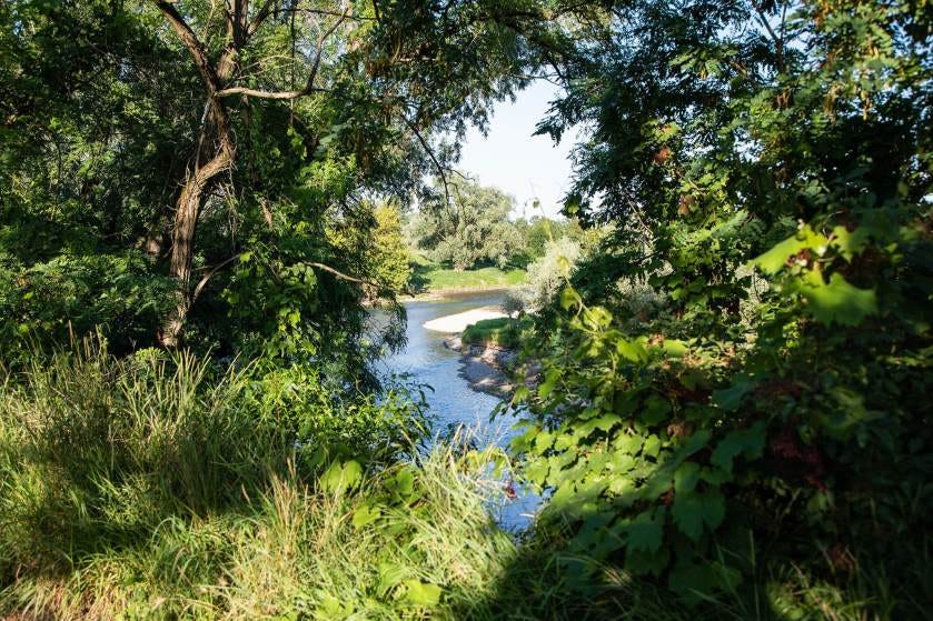 Il fiume Serio, il luogo scelto da Cinzia per il suo ritratto
