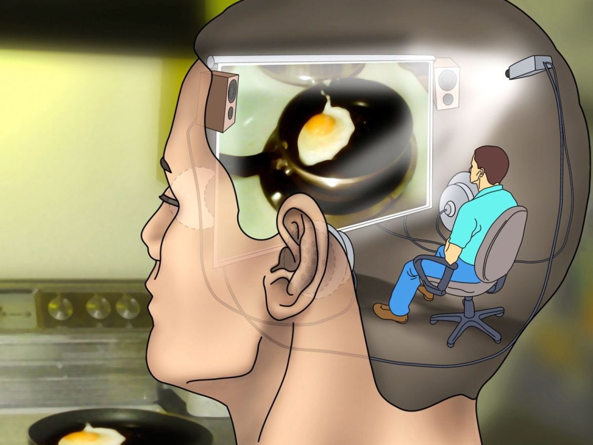 Come Back, Homunculus—All Is Forgiven! | Psychology Today