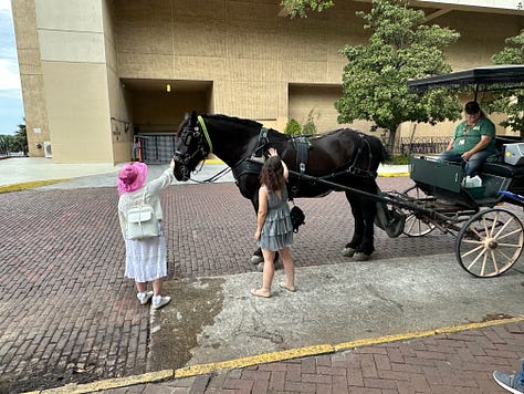 Carriage horse, Saint johns Cathedral, Collins Quarter, tea at Gryphon, Griffin – former pharmacy, organ at St. John’s Church, NOGS tour