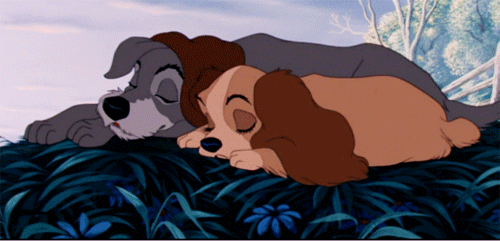 Hey, Disney Lovers!