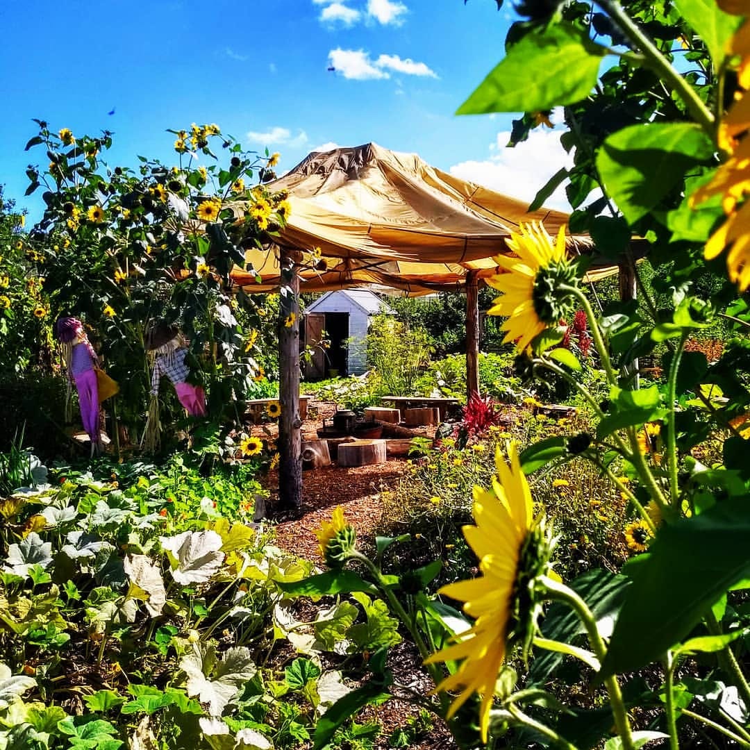 Photo by Foxhole Garden on September 09, 2018.