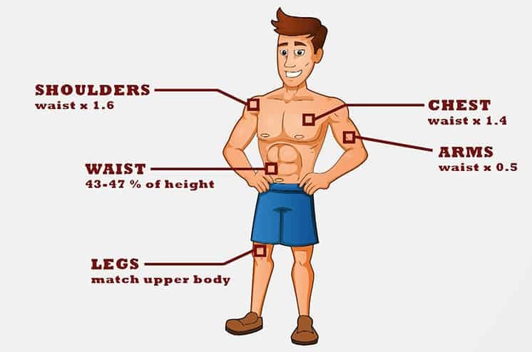 What Is Considered The Perfect Male Body? (The Adonis Index) – Iron Built  Fitness