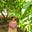 Bhuvana's avatar