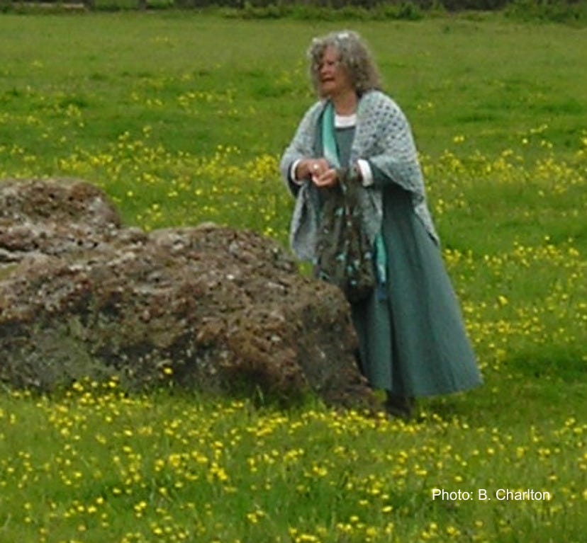 Deb field