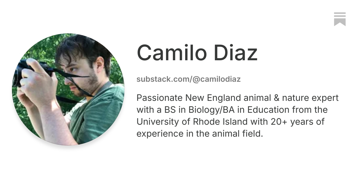 Camilo Diaz | Substack