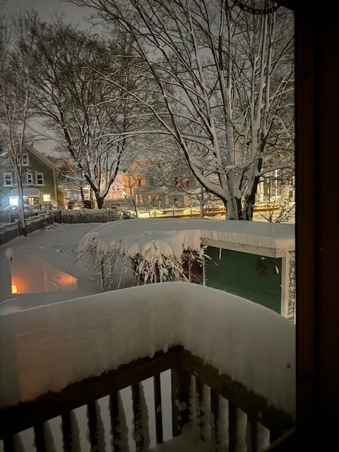 snowy landscape
