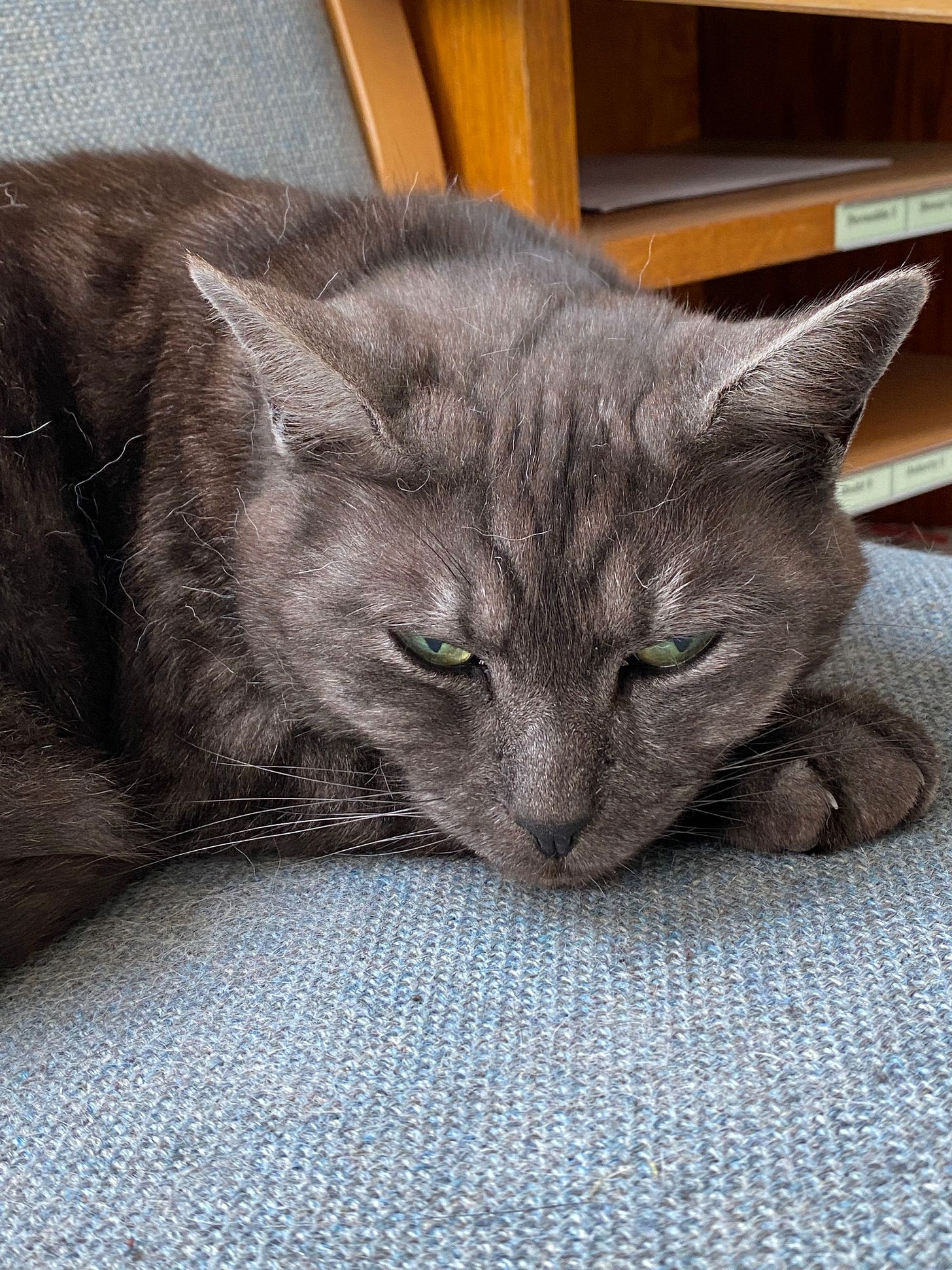 An exercise in futility