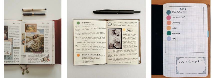 how to actually have an analog year - by Kylee - plum pits