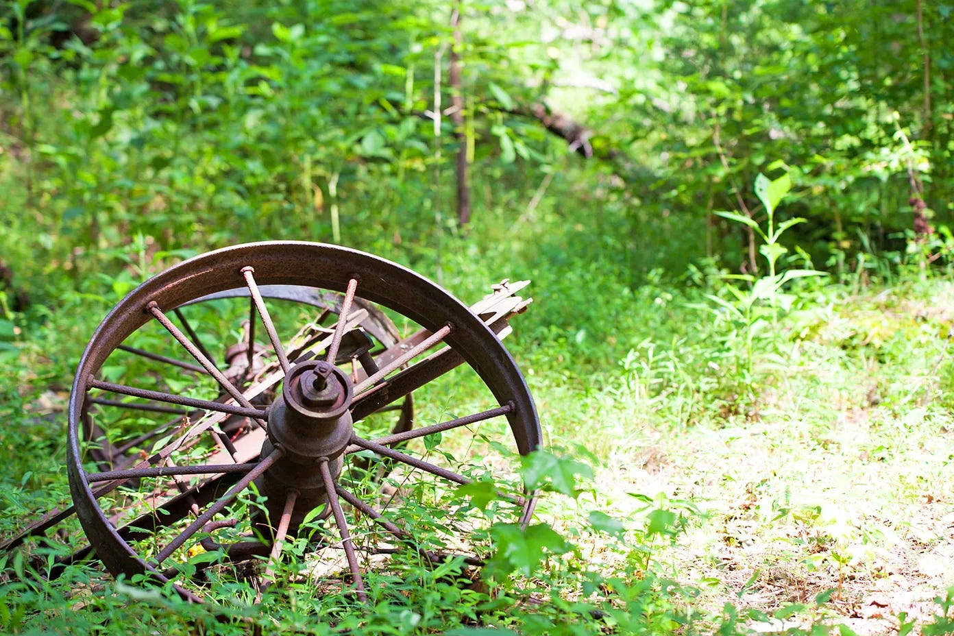 An old stagecoach wheel; photo by Erica de Flamand
