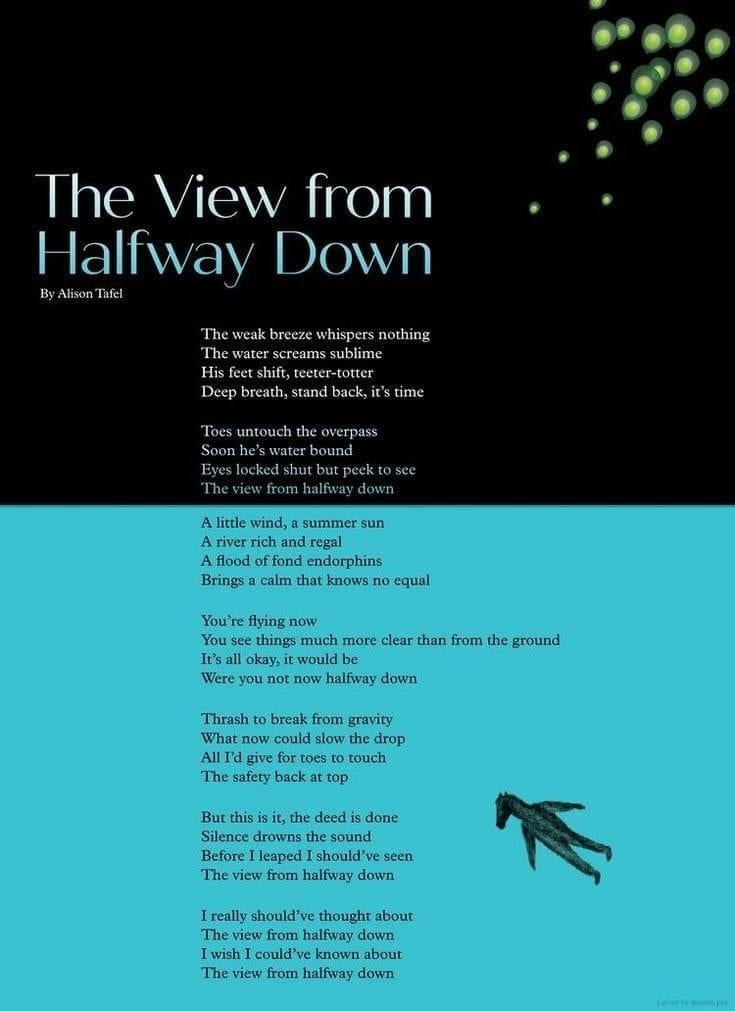 What are your thoughts on The View From Halfway Down(Poem ...
