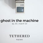 ghost in the machine