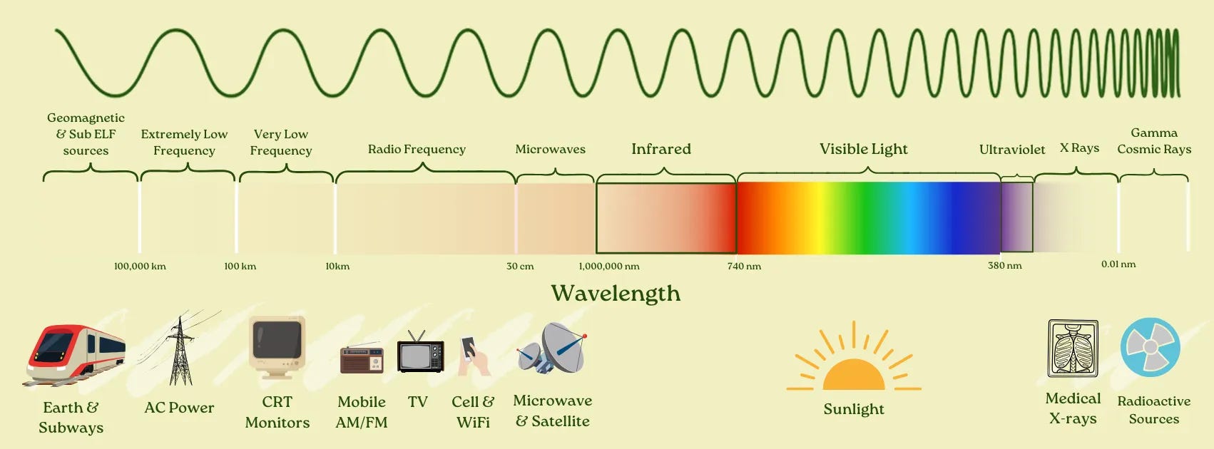 A Rational Guide to EMFs - by Justin Mares - The Next