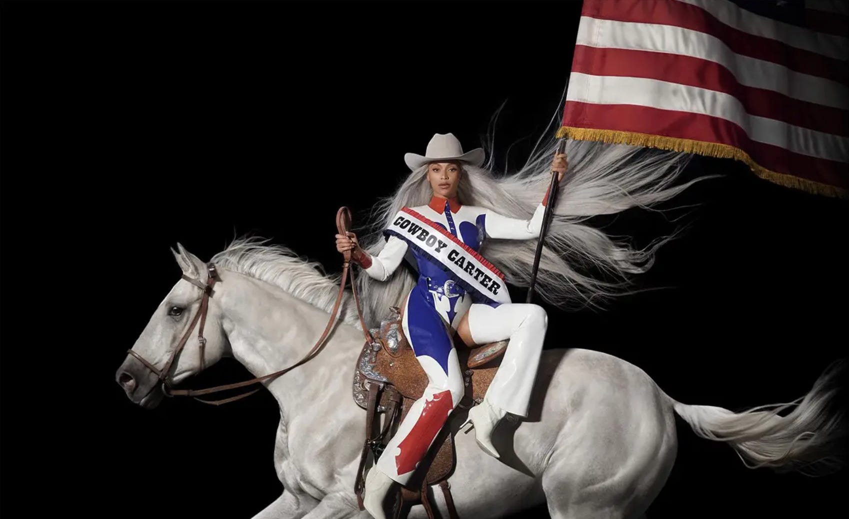 Beyoncé Took The Flag Back - by Sari Beth Rosenberg