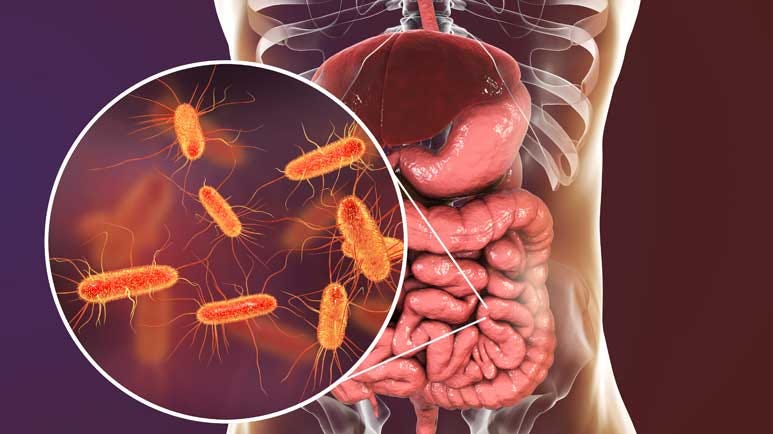 superbug loves sugar resists disinfectant