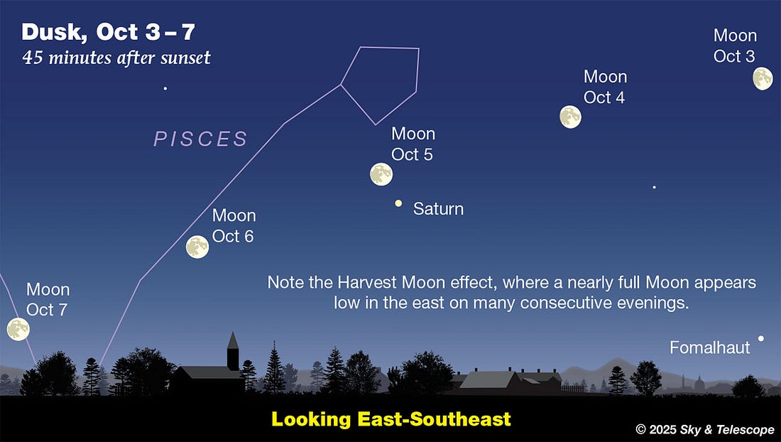 The bright Harvest Moon passes Saturn the evening before it's full.
