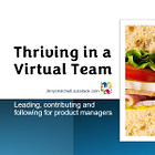 Thriving in a Virtual Team
