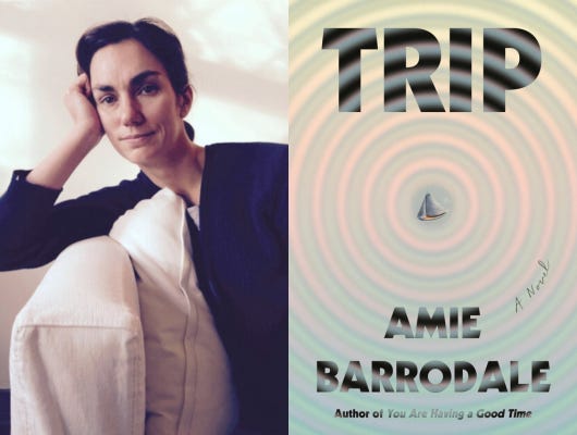 Amie Barrodale, Trip | Rainy Day Books