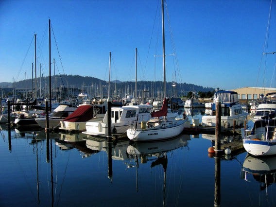 Sailboats at a marina reflected on still, blue water