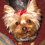Shari D Taylor's avatar