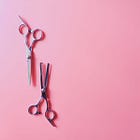 Is Lesbian Sex Even Real? My Gyno Doesn’t Seem to Think So…