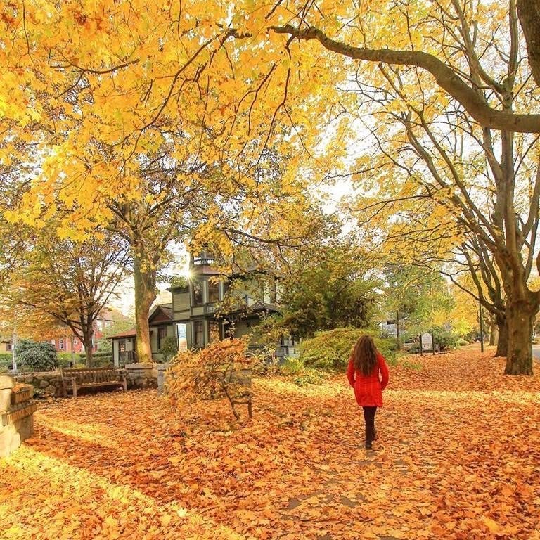 Curiosity Sparks: Percolating Thoughts