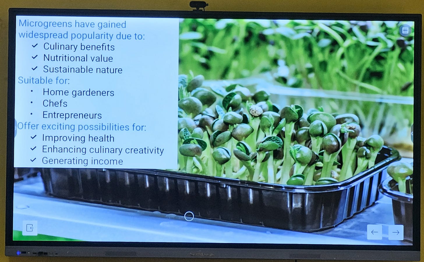 Slide from a UAS Bengaluru microgreens training session showing a tray of green microgreens beside text on their culinary, nutritional, and income-generating benefits for home gardeners, chefs, and entrepreneurs