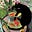 walo,'s avatar