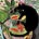 walo,'s avatar