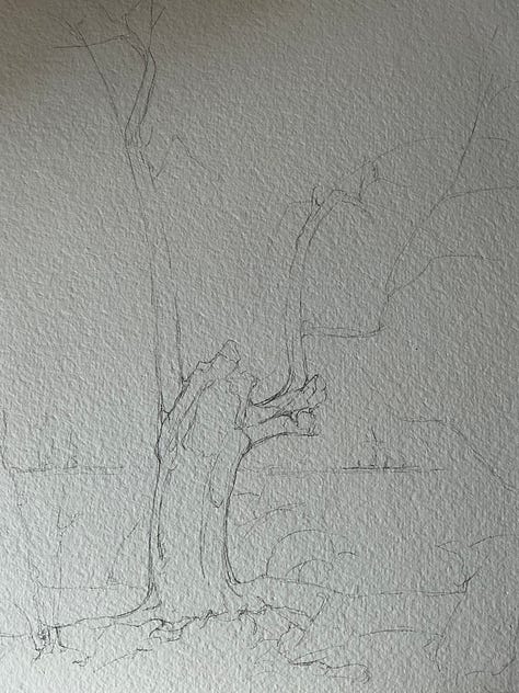 All around the state to find maple trees.