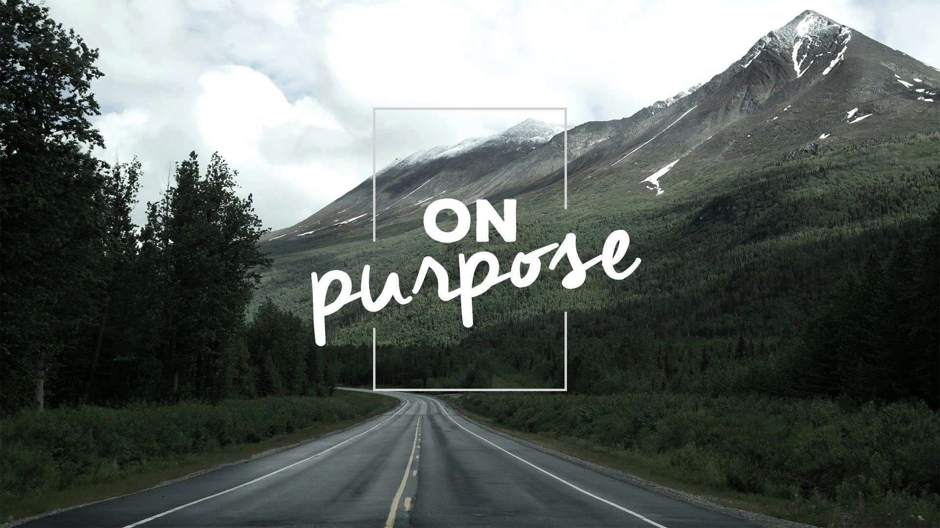 Substack profile picture for @purpose